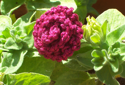 Knitted Roses photo 7