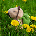 Capybara the Explorer pattern 