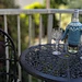 Wine Bottle Sweater pattern 