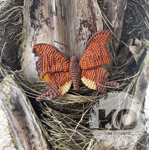 Ruddy Daggerwing Butterfly