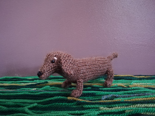 Mini Sausage Dog photo 5