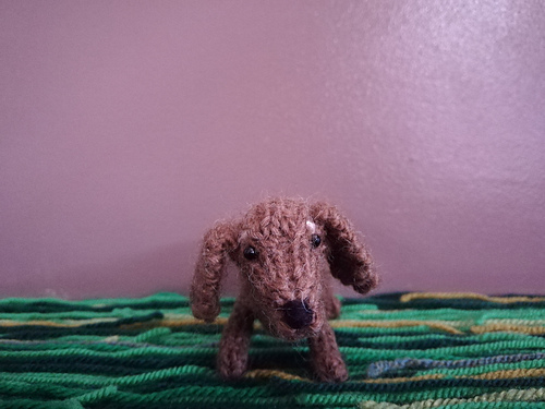 Mini Sausage Dog photo 2
