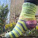 Kaddaas Frühlingserwachen pattern