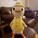 Rainy Day Goose pattern 