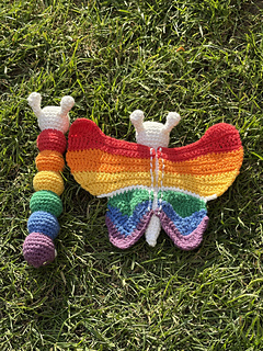 Roy and Biv (top view).