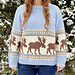 Moose Raglan pattern
