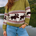 Moose Raglan pattern
