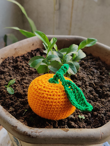 Optimal Orange photo 3
