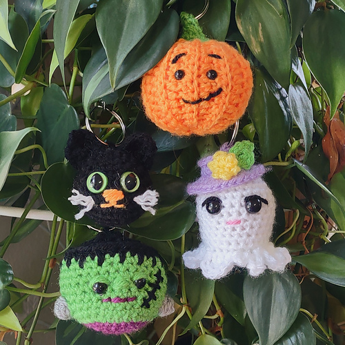 Black Cat Buddy photo 6