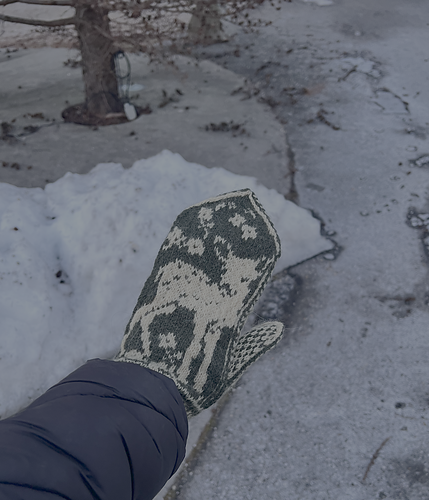 Deer mittens