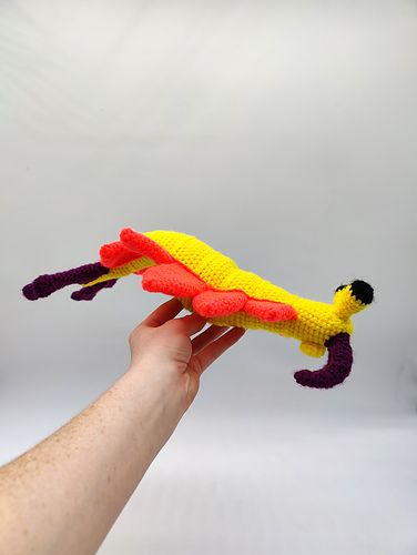 Anomalocaris - Katya McGuane