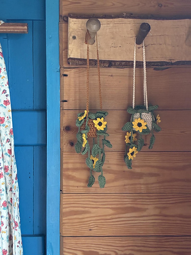 Mini hanging sunflower plant