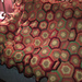 Crochet Hexagon Granny photo 3