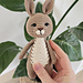 Rini the Hare pattern 