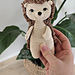 Ziggy the Hedgehog pattern
