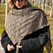 Vega Shawl pattern