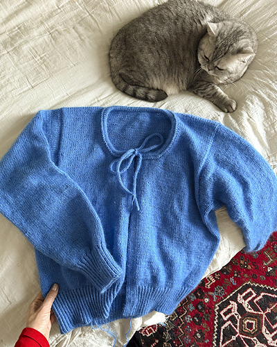 Picnic Cardigan - Veronika Lindberg