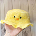 Duck Hat pattern 