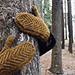 A Tent in the Woods Mittens pattern 