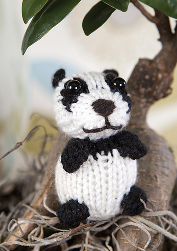 Wee Panda photo 1