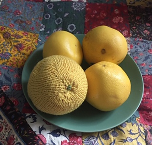 Grapefruit photo 2