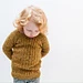 Simplicity Sweater pattern 
