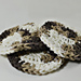 Basic Face Scrubbies photo 3