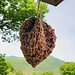 Decoy Wasp Nest For Knitters pattern