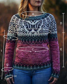 Size Schematic Photo