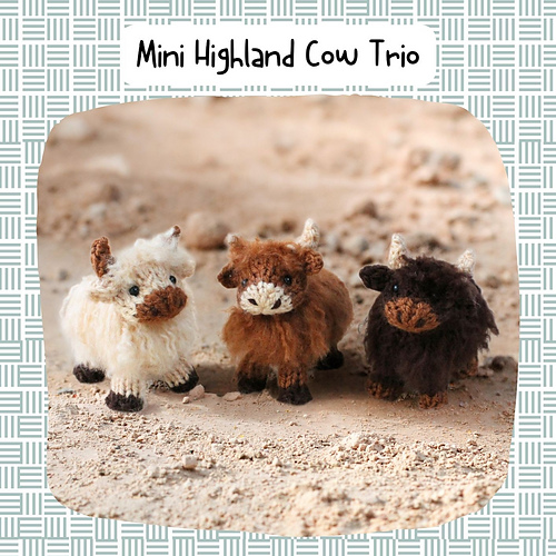 Mini Highland Cows