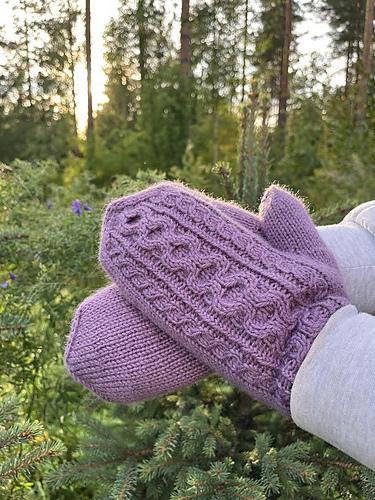 Amari lapaset