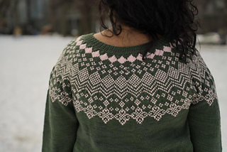 I am wearing a size 5 sweater