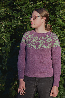 Ada is wearing a size 3 sweater