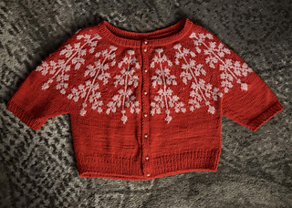 A size 2 modified cardigan
