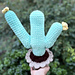 Saguaro Cactus pattern 