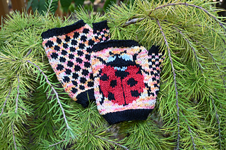 Ladybug gloves