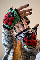 Ladybird Beetle gloves