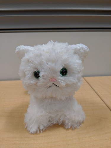 Itty Little Simple Kitty photo 3