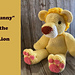Sunny the Lion pattern 