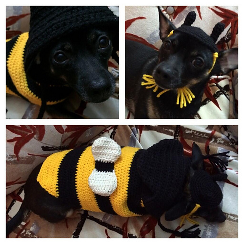 Dog sweater / Hunde-Pulli photo 11
