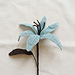 Midnight Lilium pattern