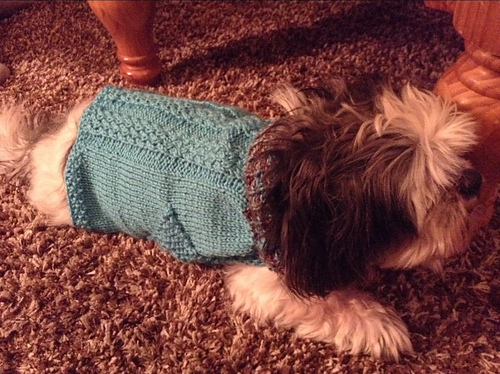 Holiday Dog Christmas Sweater photo 3