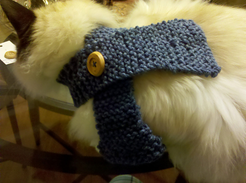 Pet Scarf photo 2