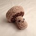 Mushroom photo 3