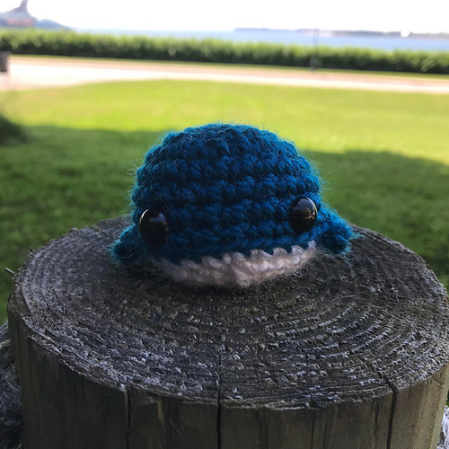 No-sew Whale photo 6