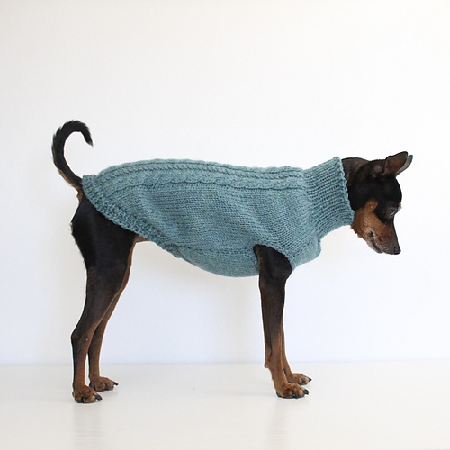 'PRIMUS' Dog Sleeveless Sweater