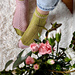 Diversity Socks pattern