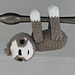 Sid the Plush Sloth pattern
