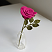 Crochet Rose pattern