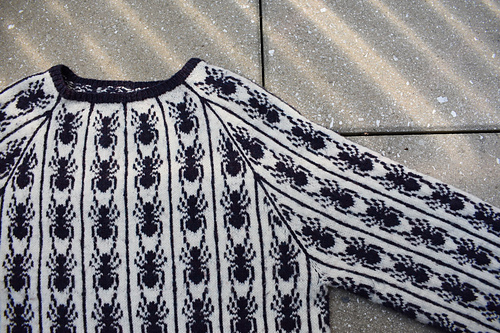 Ravelry: Ants in a Row Raglan pattern by LeafhopperKnits